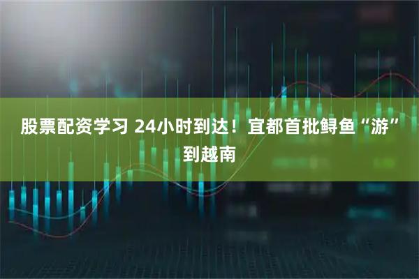 股票配资学习 24小时到达！宜都首批鲟鱼“游”到越南