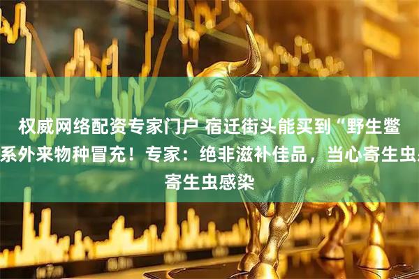 权威网络配资专家门户 宿迁街头能买到“野生鳖”？系外来物种冒充！专家：绝非滋补佳品，当心寄生虫感染