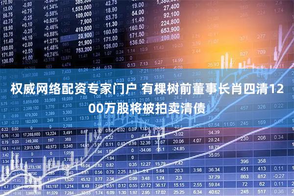 权威网络配资专家门户 有棵树前董事长肖四清1200万股将被拍卖清债