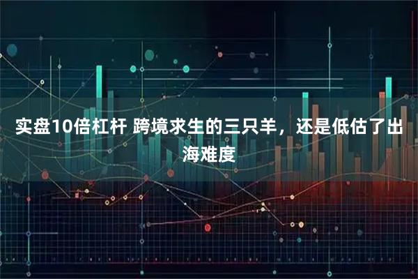 实盘10倍杠杆 跨境求生的三只羊，还是低估了出海难度