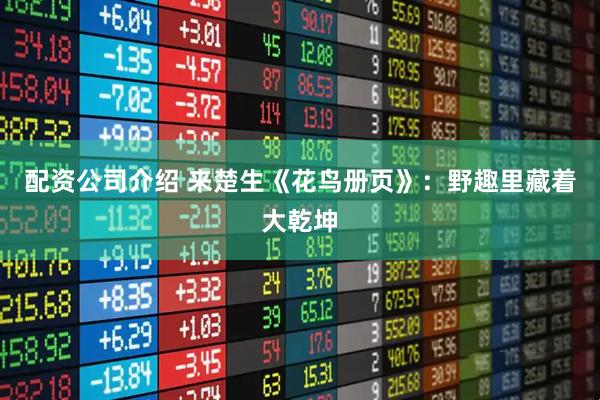 配资公司介绍 来楚生《花鸟册页》:野趣里藏着大乾坤