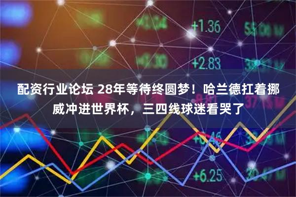 配资行业论坛 28年等待终圆梦！哈兰德扛着挪威冲进世界杯，三四线球迷看哭了